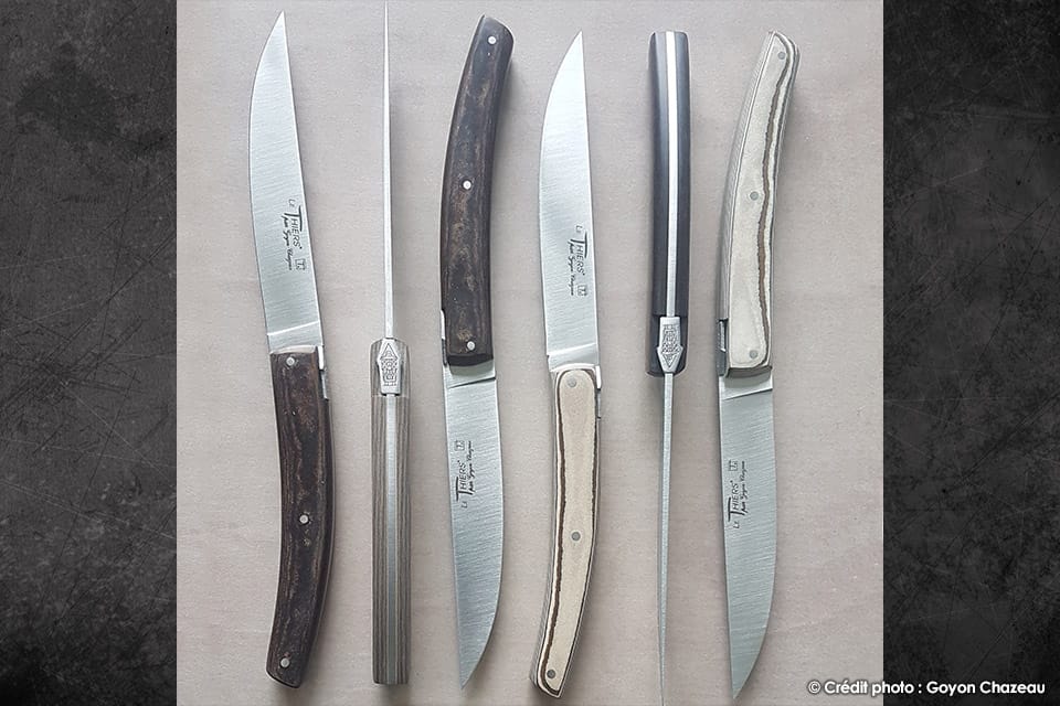 Couteaux de table Le Thiers par Goyon Chazeau Manche en paperstone (lave vaisselle) 2